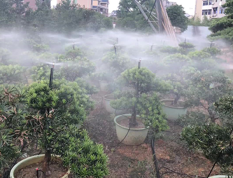 地插微噴案例
